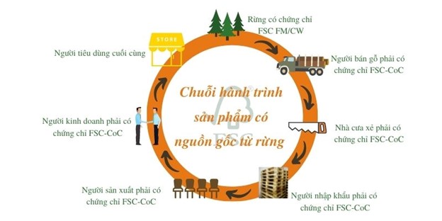Những điều cần biết về FSC và điều kiện chứng nhận FSC cho doanh nghiệp ...
