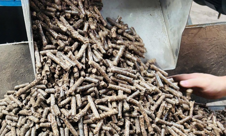 Viên nén gỗ: Chuẩn hóa sản xuất để đáp ứng nhu cầu thị trường- Ảnh 1.